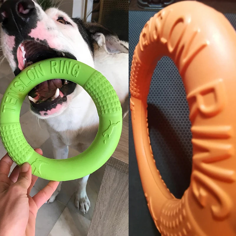 Dog Training Ring Rubber Interactive Fetch Toy for Dogs