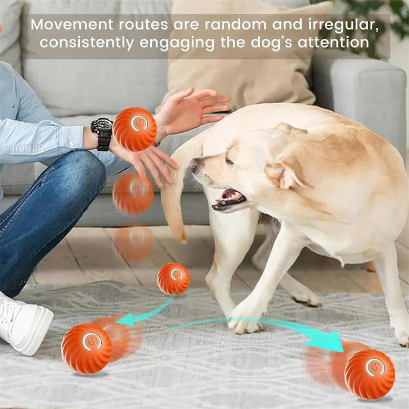 Interactive Dog Ball – USB Rechargeable Automatic Moving Toy