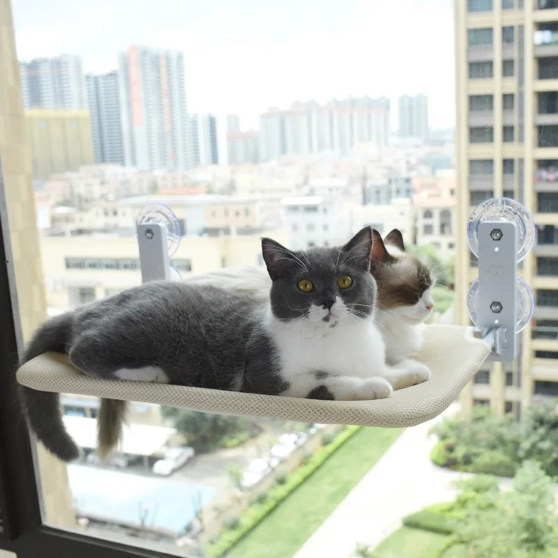 Cat Window Hammock – Foldable Suction Cup Hanging Cat Bed