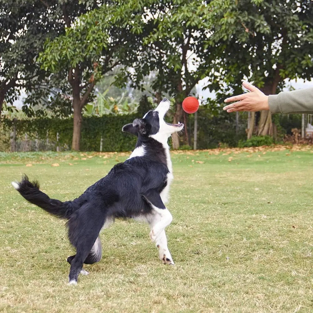 Dog Toy Ball – Rubber Training Ball for Outdoor Play