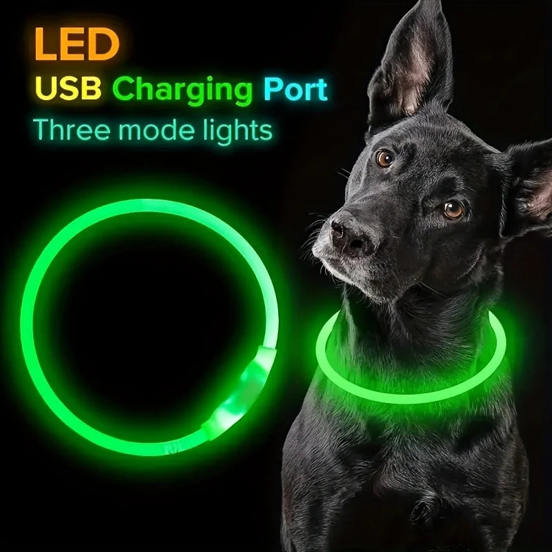 LED Dog Collar – USB Rechargeable Light-Up Reflective Collar