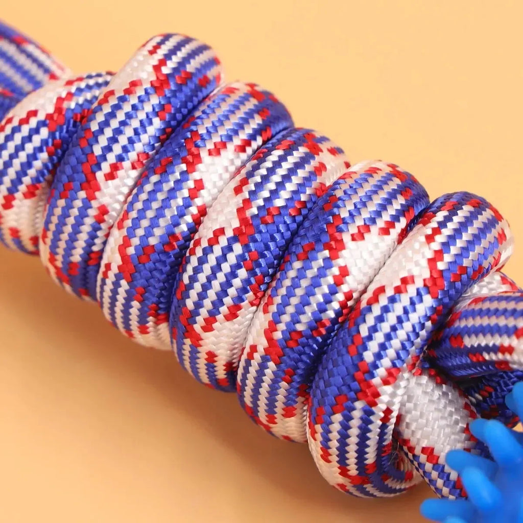 Dog Chew Toys – Durable Rubber Dental Toy for Dogs