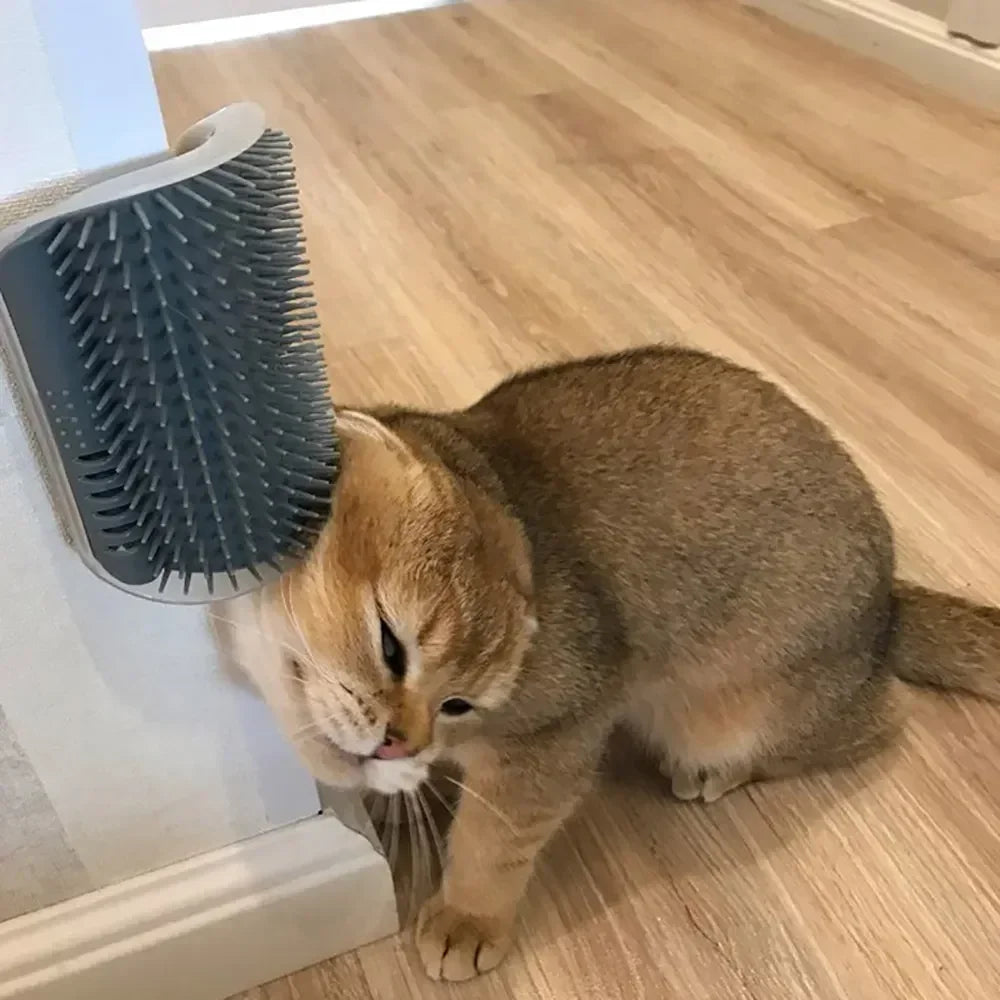 Cat Self Grooming Brush – Corner Massage Scratcher with Catnip