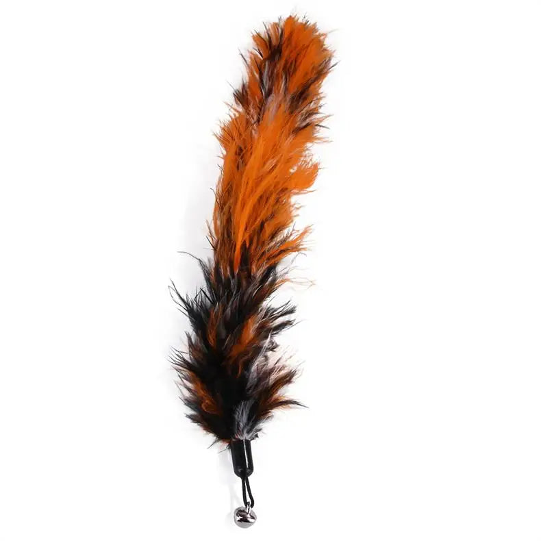 Cat Feather Wand Toy – 11 Piece Retractable Teaser Set