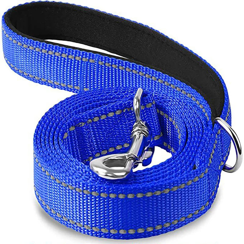 Reflective Dog Leash – Nylon Night Walking & Training Lead