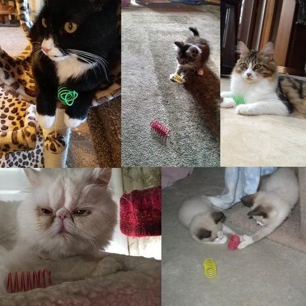 Spiral Cat Toy – Interactive Colorful Spring Toy for Cats
