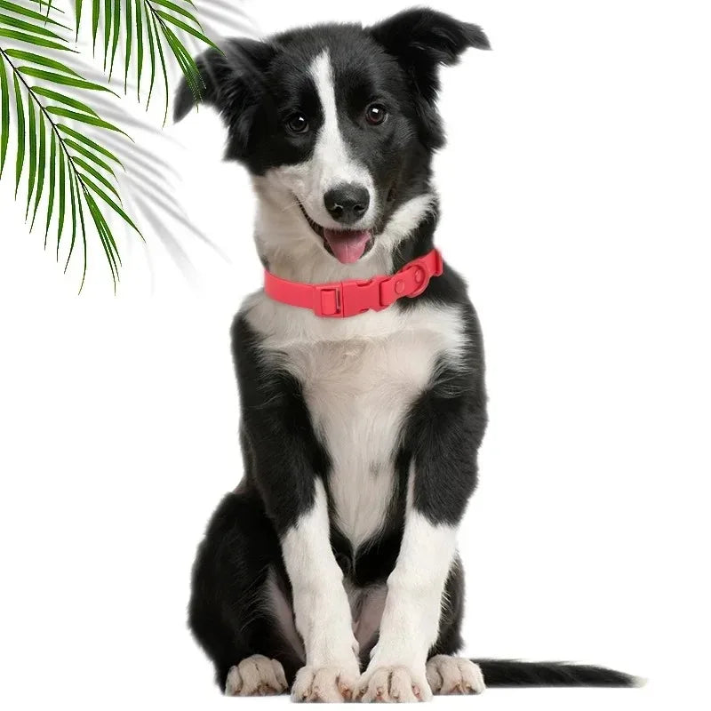 PVC Dog Collar Waterproof Adjustable Breakaway Easy Clean