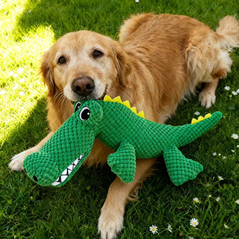 Plush Squeaky Dog Toy – Dinosaur Interactive Chew Toy for Dogs