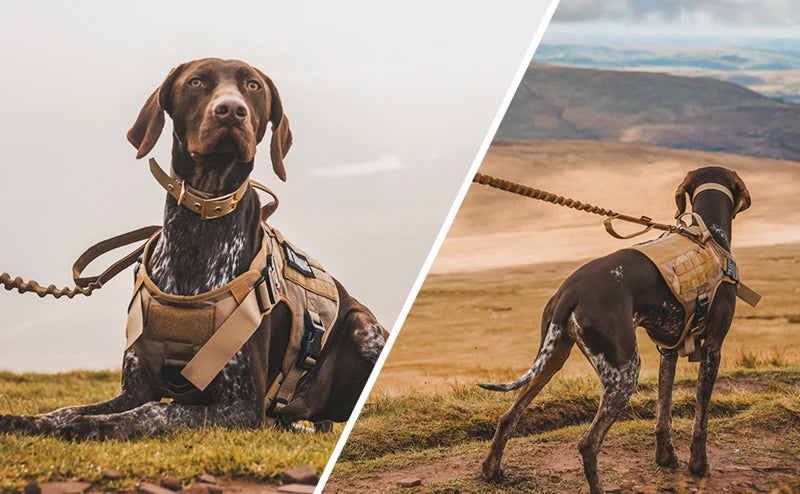 Tactical Dog Harness – 1000D Nylon Vest With Leash Set