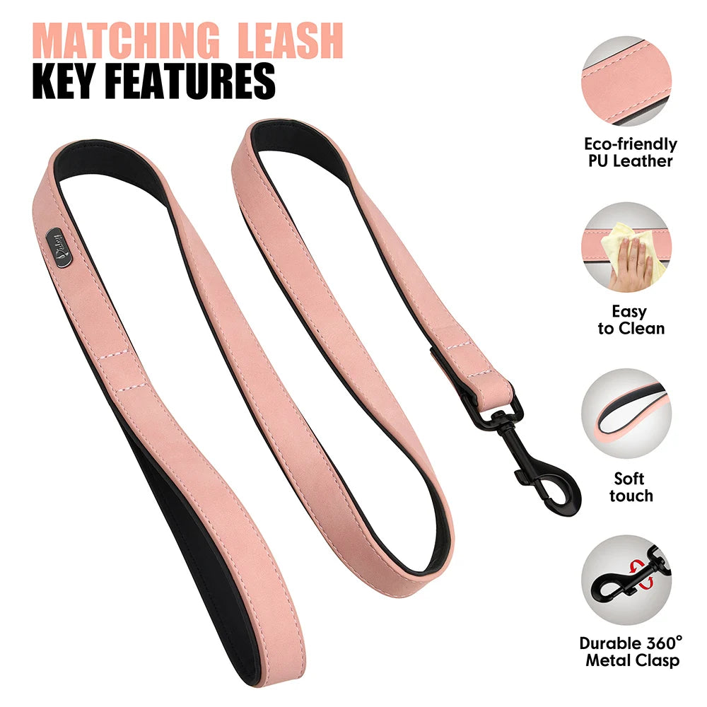 PU Leather Dog Collar and Leash Set, Adjustable Padded