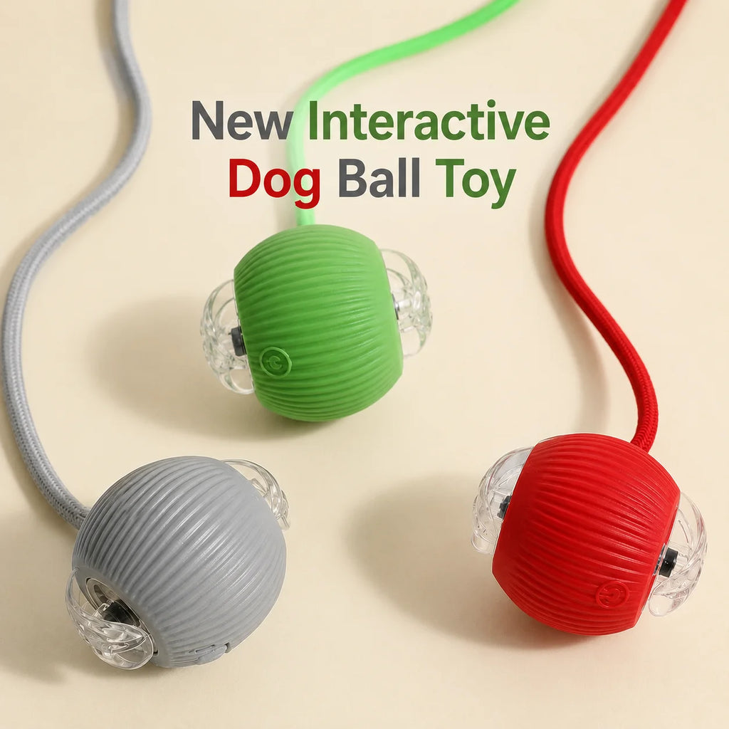Automatic Dog Ball, Rechargeable Interactive Toy for Dogs