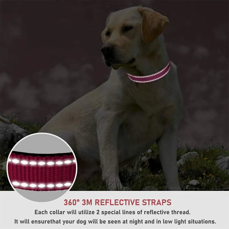 Reflective Dog Collar – Adjustable Nylon Safety Collar with Buckle