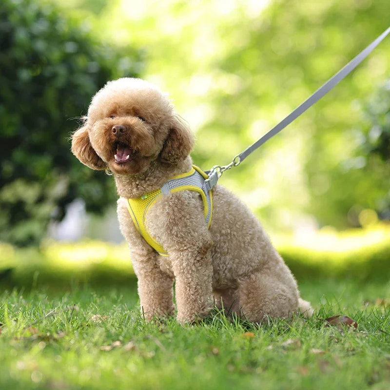 Small Dog Harness – Adjustable Reflective Vest With Leash