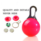 LED Dog Collar Light – Colorful Flashing Pet Safety Light