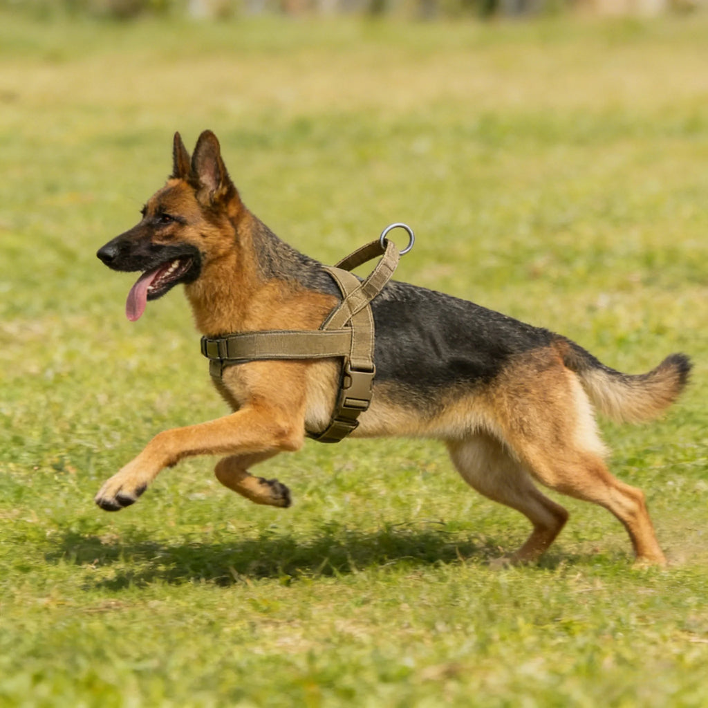 No Pull Dog Harness Large Breed Adjustable Reflective Padded Vest