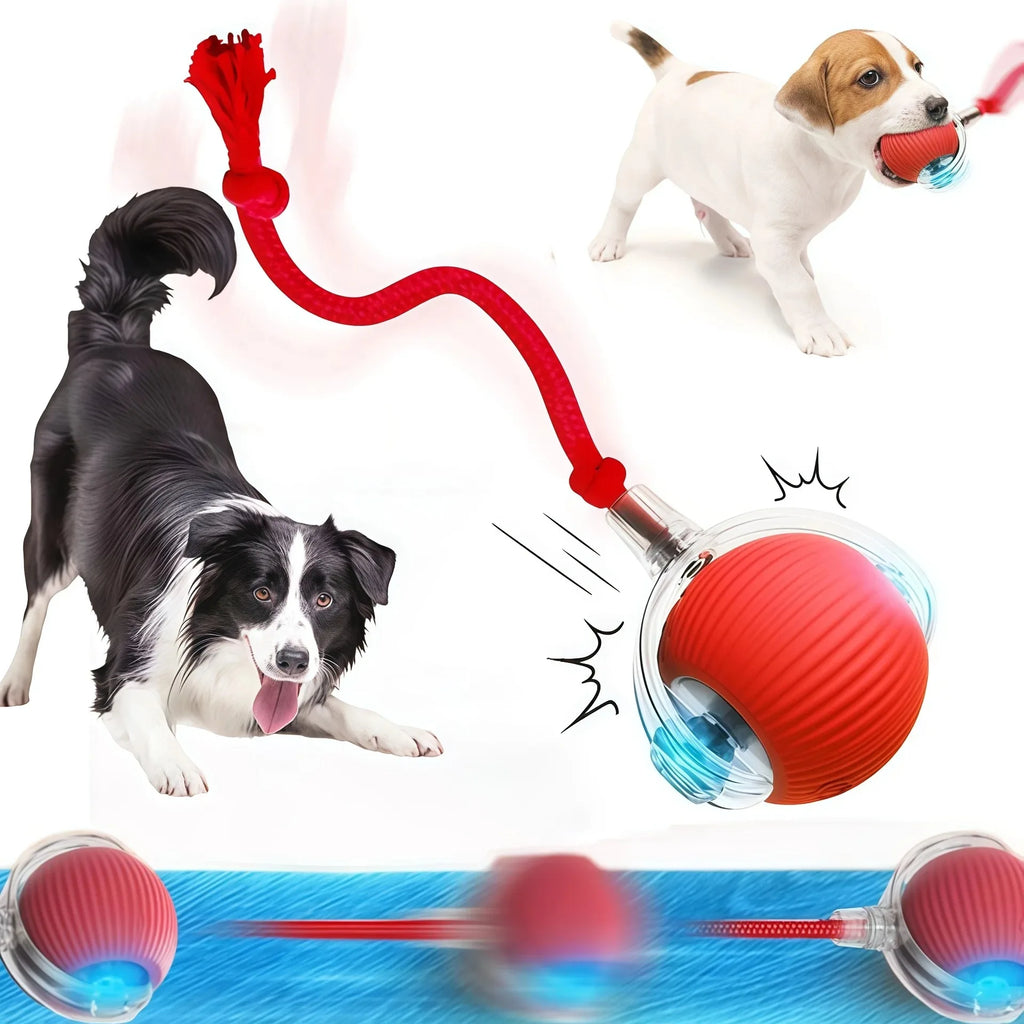 Automatic Dog Ball Toy – Rechargeable Interactive Rolling Ball