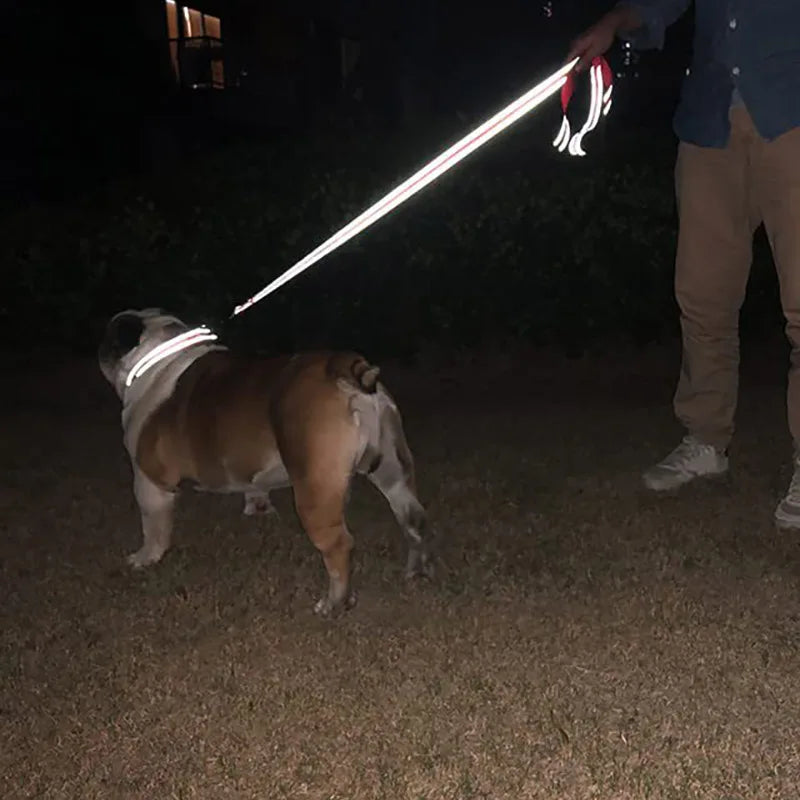 Reflective Dog Leash – Nylon Night Walking & Training Lead