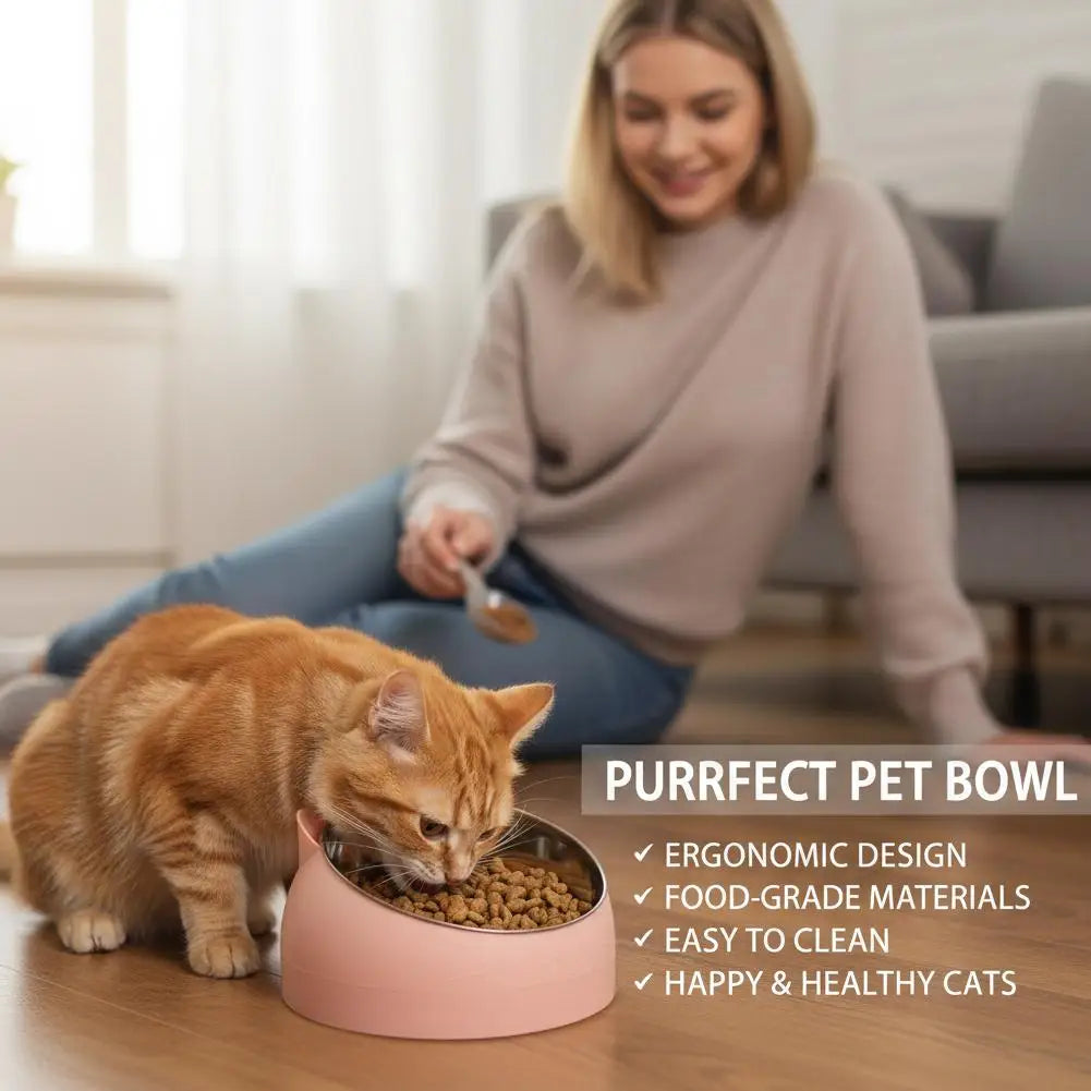 Eco-Friendly1PC Stainless Steel Cat Bowl, 15° Inclined Pet Food Dish with Non-Slip Base, Anti-Choke Feeder for Cats/Kittens/Dogs