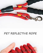 Reflective Dog Leash – Nylon Walking Lead with Quick Release