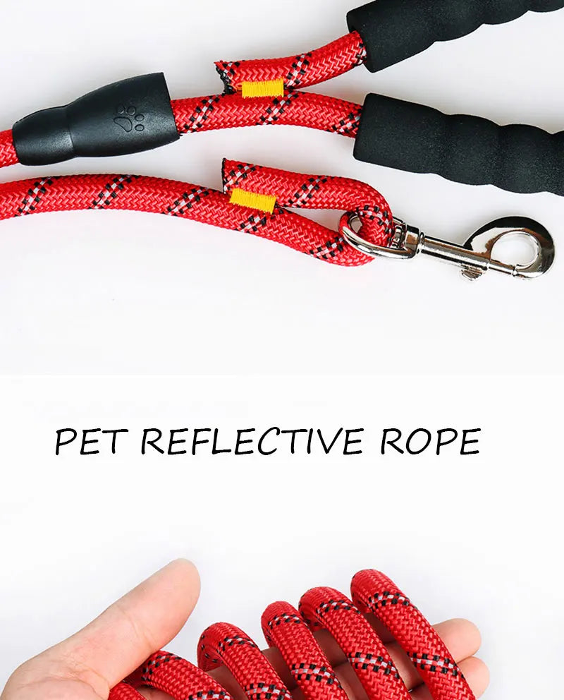 Reflective Dog Leash – Nylon Walking Lead with Quick Release