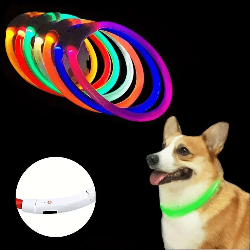 LED Dog Collar – USB Rechargeable Light-Up Reflective Collar