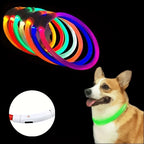 LED Dog Collar, Rechargeable Light Up Reflective Nylon Collar