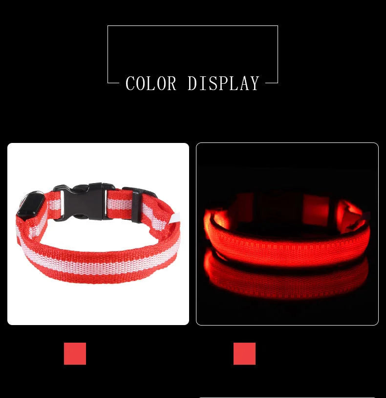 LED Dog Leash Nylon Light Up Glow Night Safety Collar