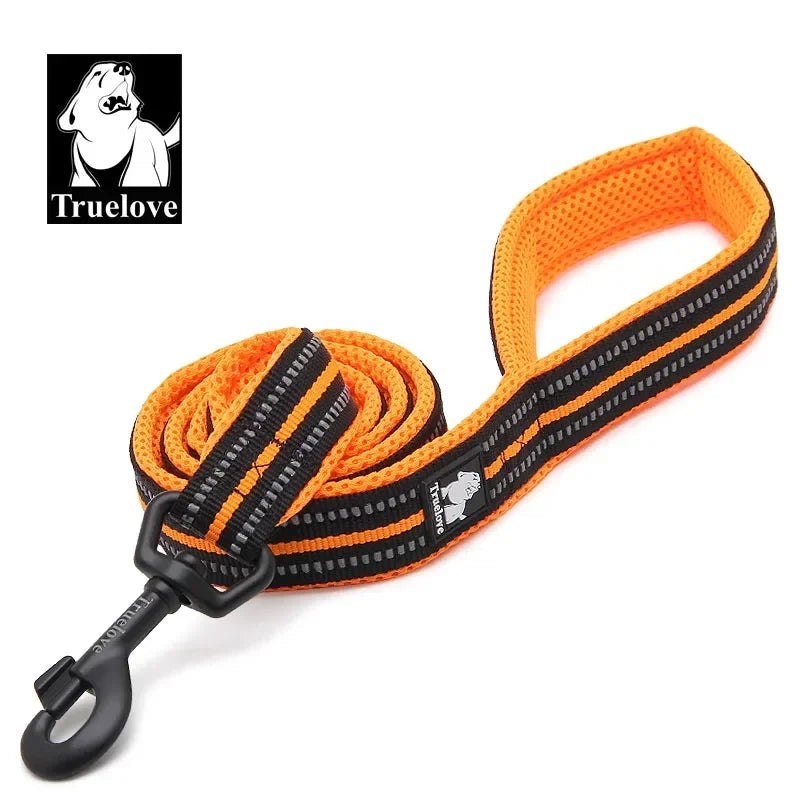 Nylon Dog Leash – Reflective Padded 200cm Walking Lead