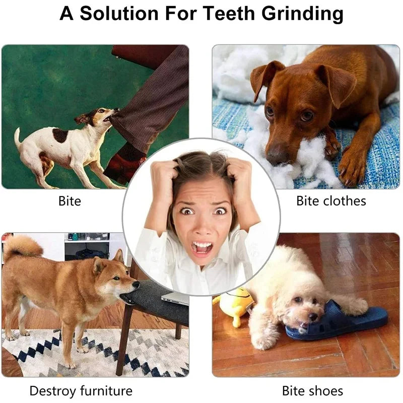 Dog Treat Ball Rubber Chew Toy Food Dispenser for Dogs