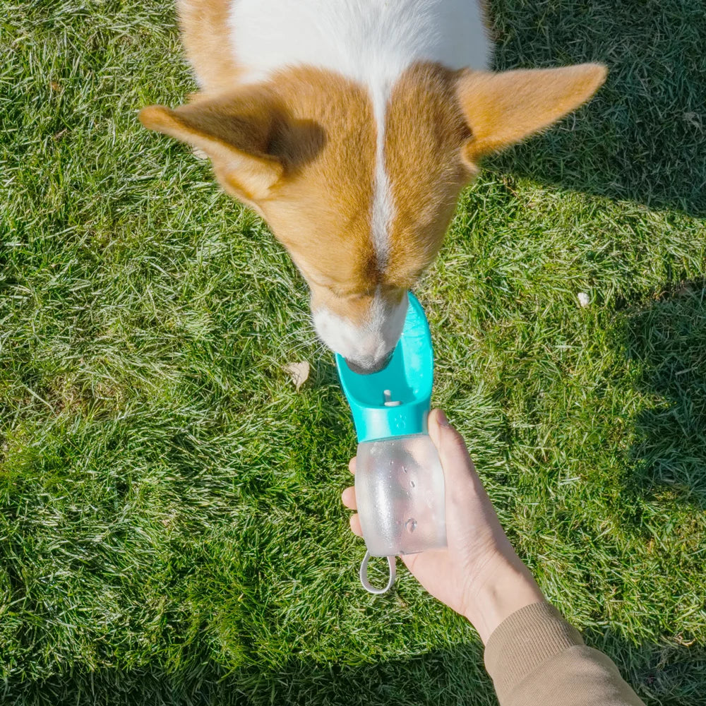 300ml - Portable Dog Water Bottle