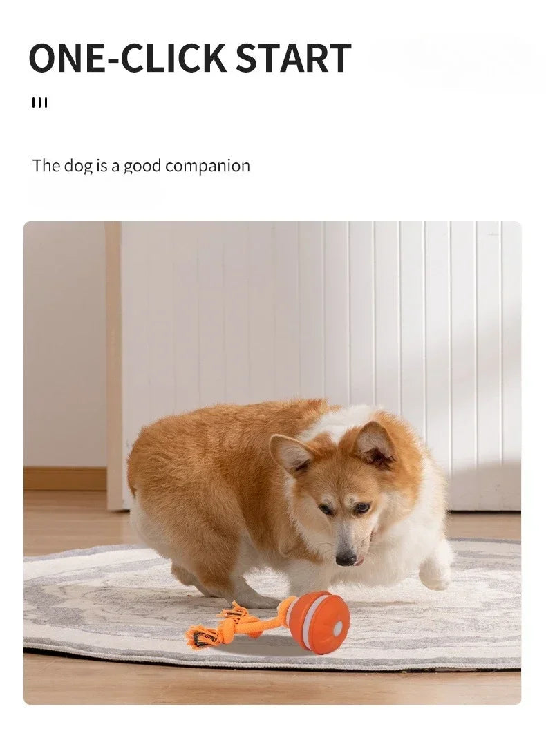 Interactive Dog Ball – Motion Activated Rolling Toy for Dogs