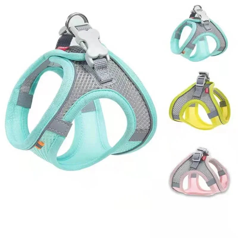 A comfortable, adjustable harness with reflective detailing for everyday pet walks.