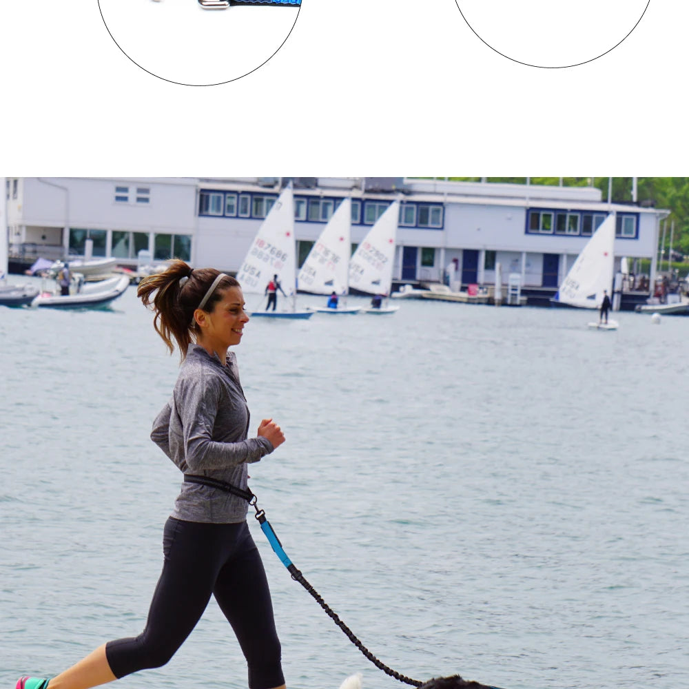 Hands Free Dog Leash