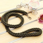 Dog Training Leash – Nylon Walking Lead