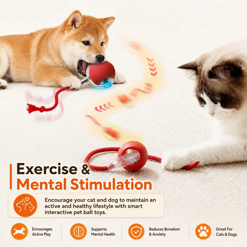 Automatic Dog Ball, Rechargeable Interactive Toy for Dogs