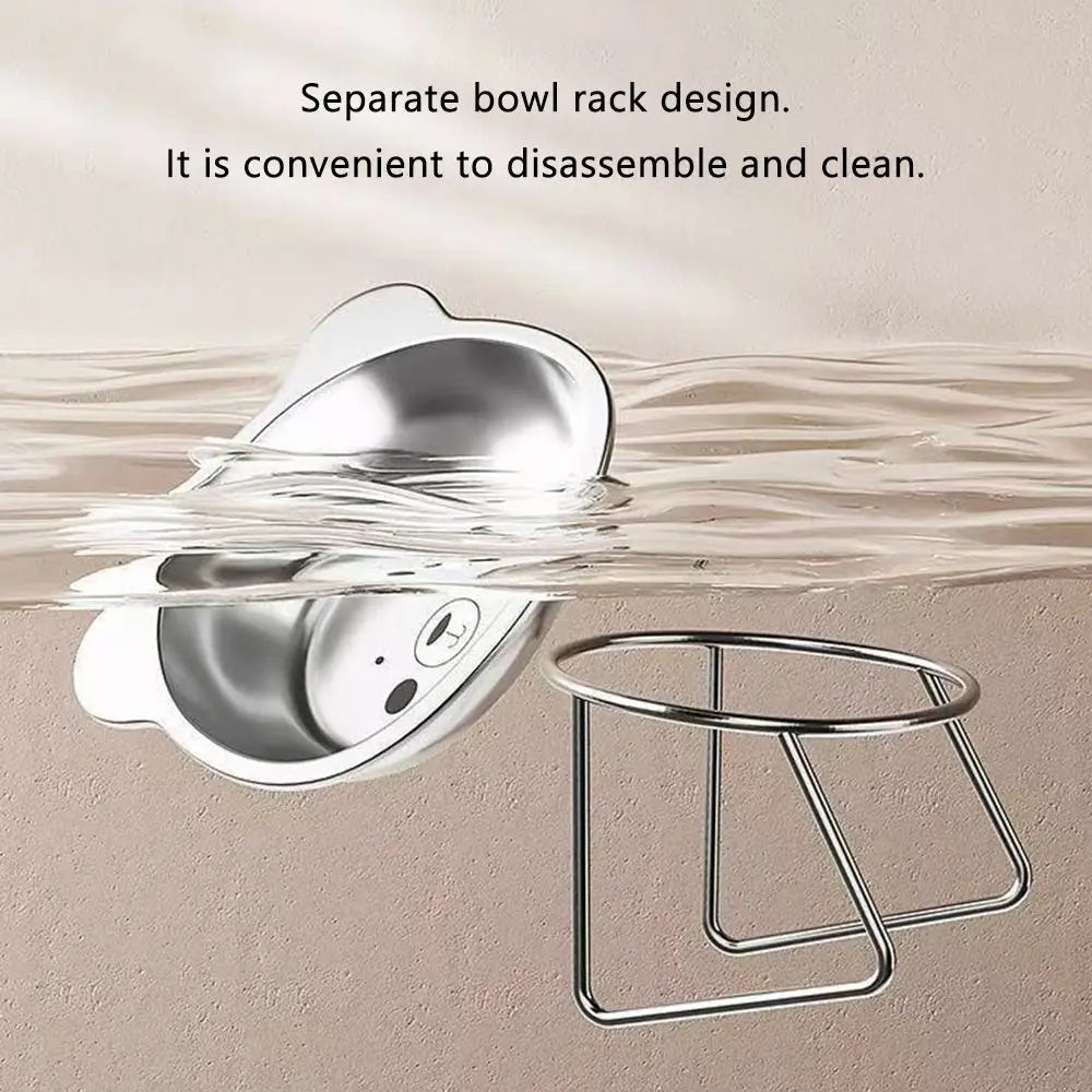 Elevated Cat Bowl – 15° Raised Stainless Steel Feeder